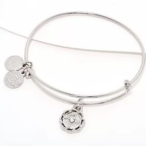 Divinely Guided by Theresa Caputo Wire Bangle